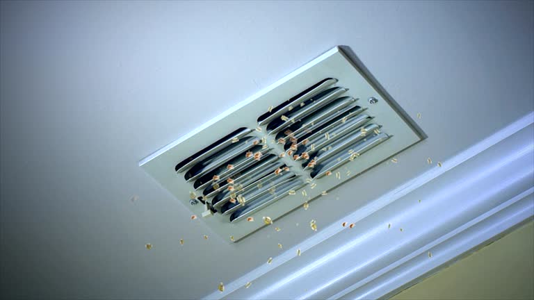 Best Commercial Air Duct Cleaning  in Boiling Springs, NC